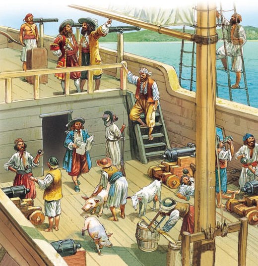 Dia a Dia de Um Pirata